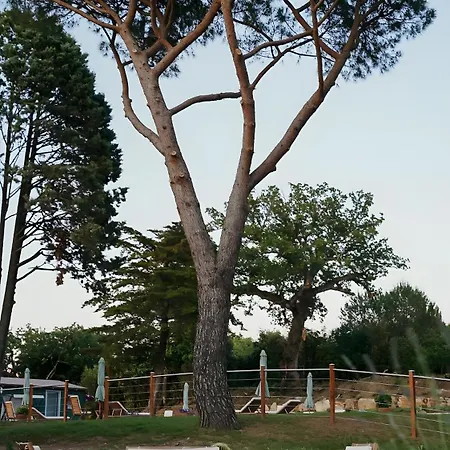 Podere Scoldasu - Nettuno Farm stay Massa Marittima