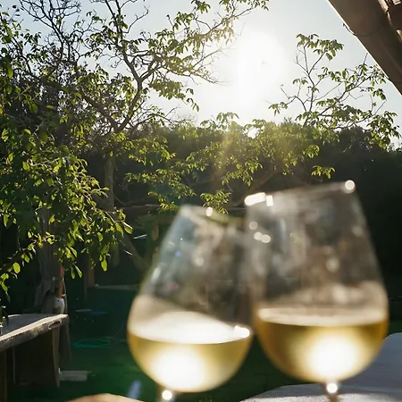 Podere Scoldasu - Nettuno Farm stay